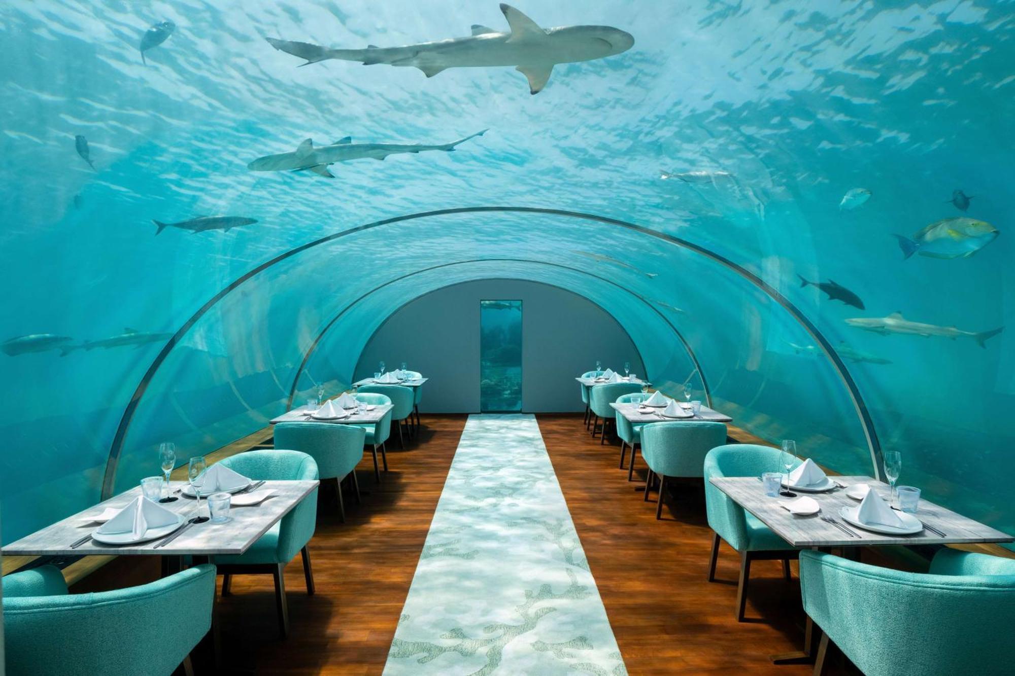 Conrad Maldives Rezort 5*